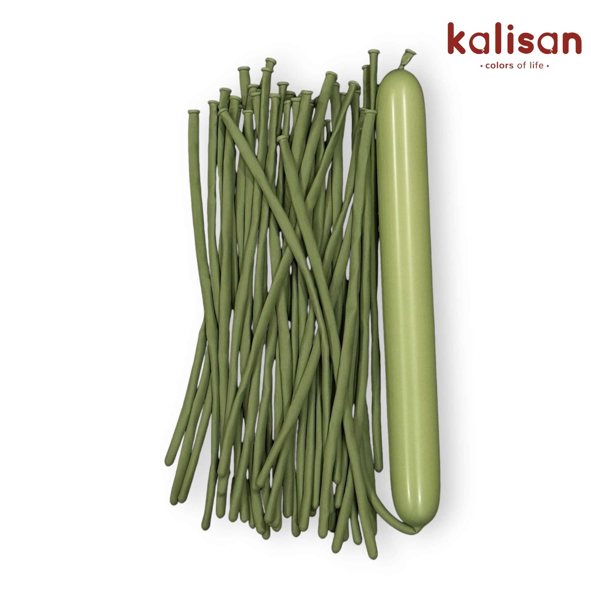 Baloni za modeliranje 260Q - Eucalyptus 50kom